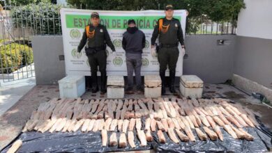 Photo of Policía captura a hombre que transportaba carne de babilla