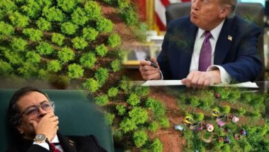 Photo of Estados Unidos descertificó a Colombia