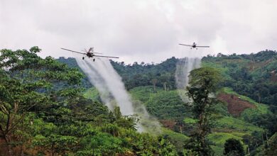 Photo of Petro endurece su postura: “Habrá fumigación aérea donde el Ejército sea atacado
