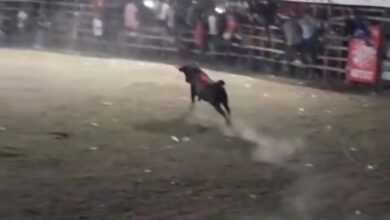 Photo of Falleció abuelito en las corralejas de Arache, Chimá