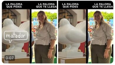 Photo of Centro Democrático denunciará a ‘Matador’ por caricatura contra Paloma Valencia