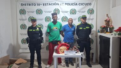 Photo of Incautan 1.600 huevos de iguana en el sur de Bolívar
