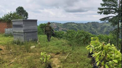 Photo of El hecho se presentó en Anorí, Antioquia