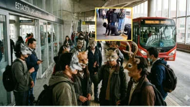 Photo of Manada de therians vistos en Transmilenio en Bogotá