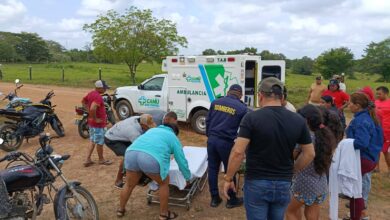 Photo of Toro enfurecido irrumpe en vivienda y deja dos personas heridas en zona rural de Sahagún