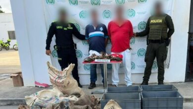 Photo of ¡Golpe al tráfico ilegal! Caen con más de 200 hicoteas listas para vender en Córdoba