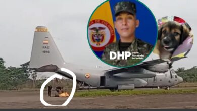 Photo of Soldado se salvó de morir en accidente de avión de la FAC: su perro fue su ángel guardián y el relato estremece
