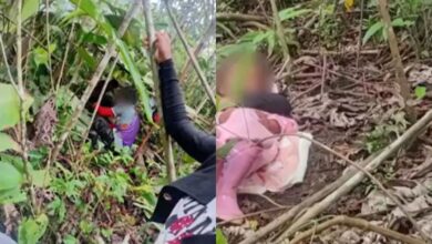 Photo of Rescatados los seis hermanos que se escondían de las disidencias en la selva del Caquetá