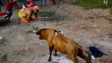 Photo of El hecho se presentó en zona rural de El Retén, Magdalena