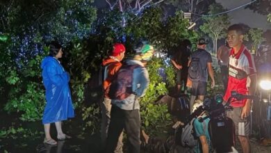 Photo of ¡El aguacero terminó en tragedia! Árbol cayó sobre varios vehículos y dejó dos muertos