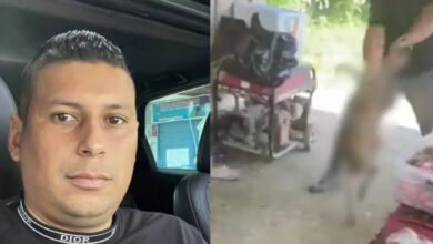 Photo of Cárcel para hombre que agredió brutalmente a un perrito
